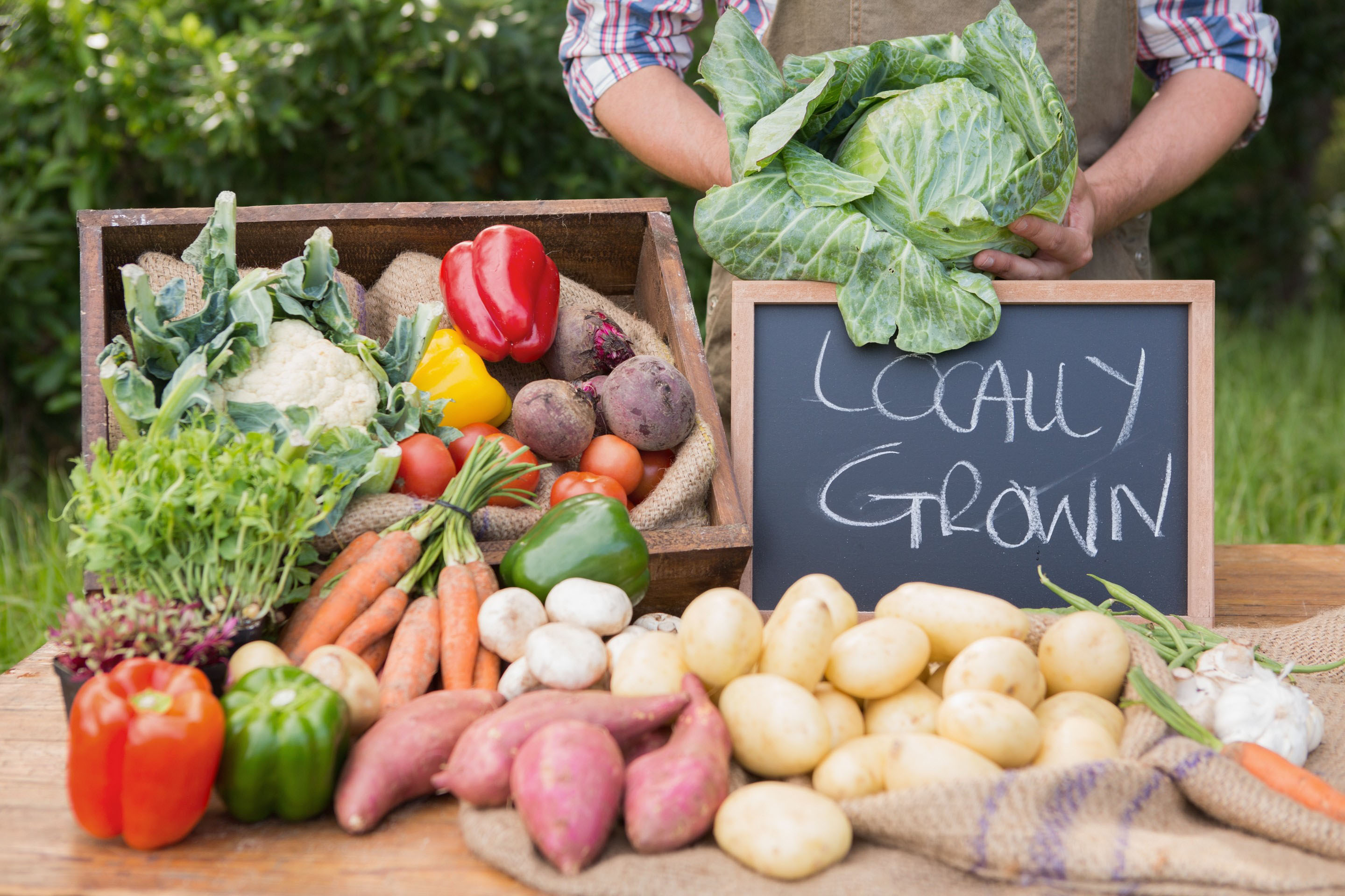 Healthy Vending Machine Options in Santa Clarita